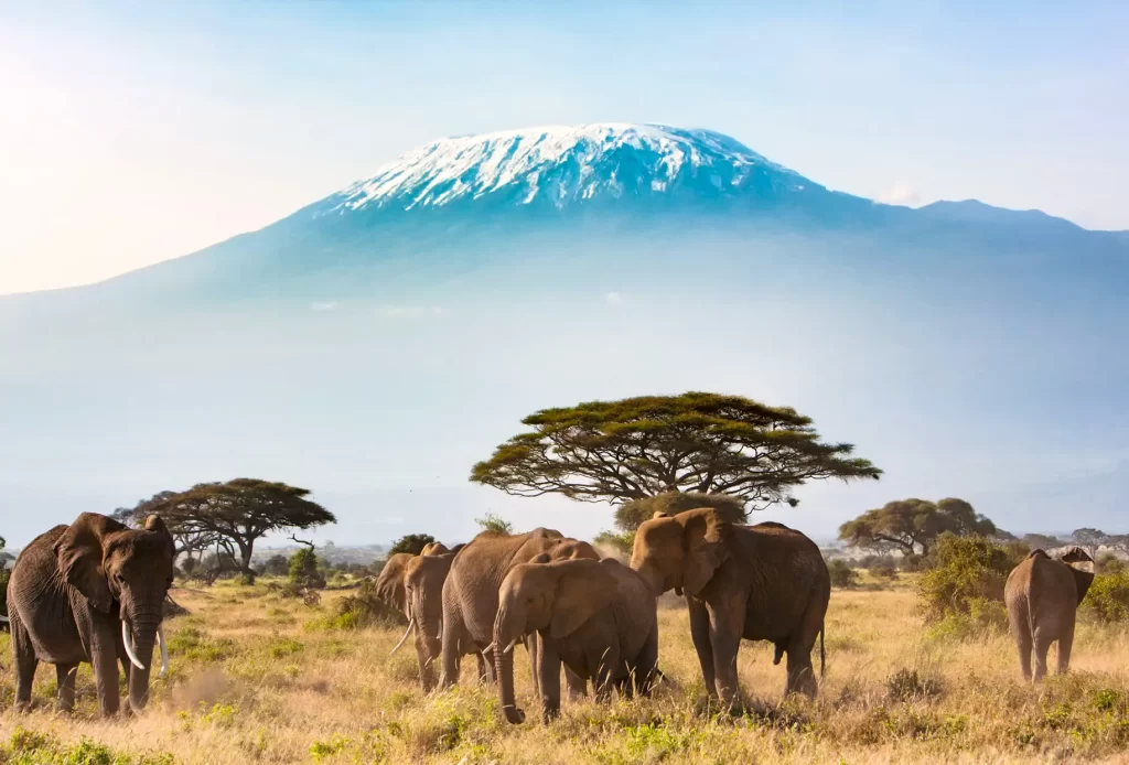 Tanzania